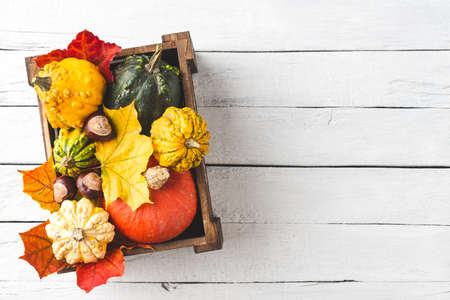 Autumn pumpkins and leaves in box on white wooden table with copyspace. Thanksgiving Day concept. Flat layの写真素材