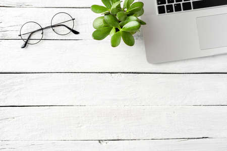 Modern workplace with laptop, eyeglasses and small succulent. Office desktop