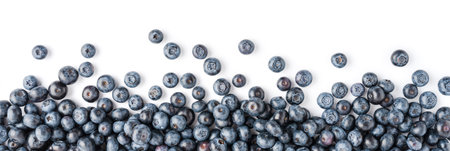 Fresh blueberries on white table. Top view. Panoramic bannerの写真素材