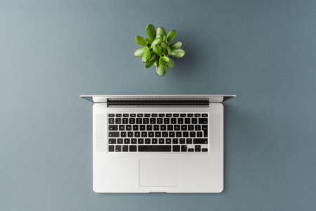 Business background with laptop and small flower on gray table. Office desktop. Top viewの写真素材
