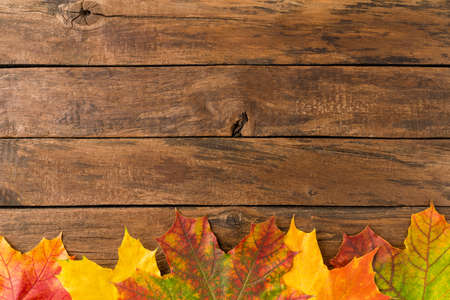 Autumn leaves on rustic wooden table with copyspace. Flat layの写真素材