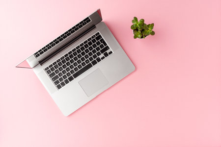 Laptop on pink background with green flower. Office desktop. Top view