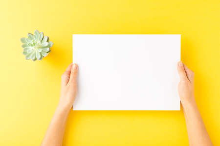 Female hands holding empty paper sheet on yellow background with small flower. Top view