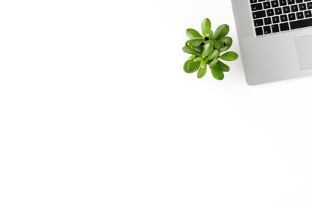 Office desktop with laptop, small green plant and copyspace. Business backgroundの写真素材