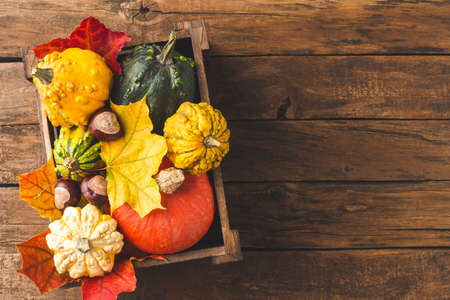 Colorful autumn pumpkins and leaves in box on wooden background with copyspace. Fall concept. Top viewの写真素材