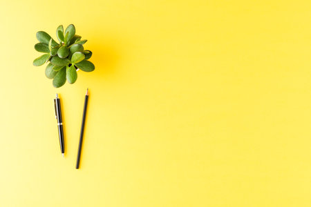 Elegant pens with green plant on yellow desktop. Business backgroundの写真素材
