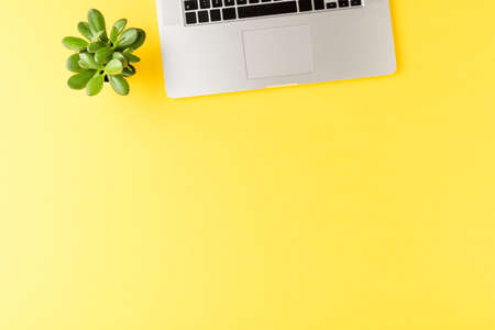 Office desktop. Laptop with small succulent on yellow background with copyspaceの写真素材