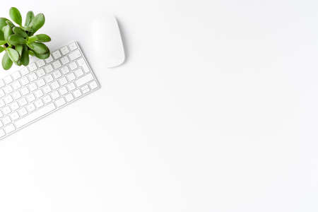 Modern office desktop with keyboard, mouse and small green plant. Business background with copyspace