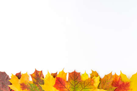 Frame made of colorful autumn leaves isolated on white table. Fall concept. Flat lay