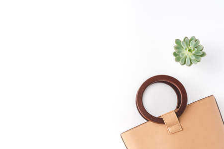 Beige woman's handbag and small flower. Fashion backgroundの写真素材