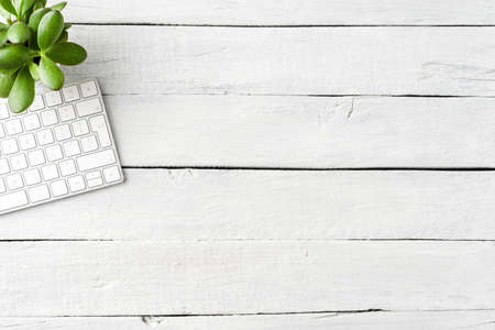 Modern computer keyboard with green succulent on white wooden background. Office desktop. Top viewの写真素材