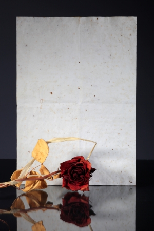Old vintage paper page and wilted rose reflected in dark surfaceの写真素材