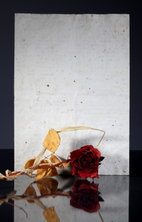 Old vintage paper page and wilted rose reflected in dark surfaceの写真素材