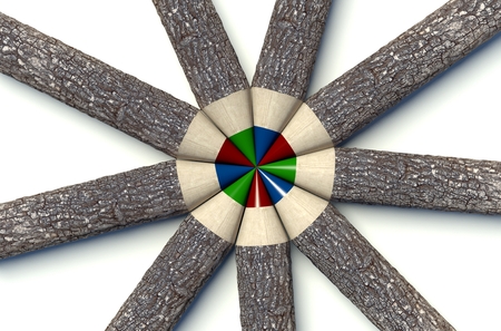 Colorful wooden pencils with tree trunks, backgroundの写真素材
