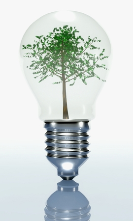 Tree in a light bulb isolated on whiteの写真素材