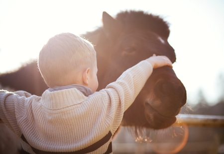 Child stroking pony in mini zoo, love and affectionの写真素材