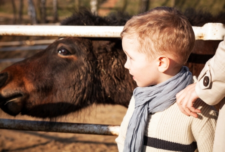 Child with his mother and pony in the mini zooの写真素材