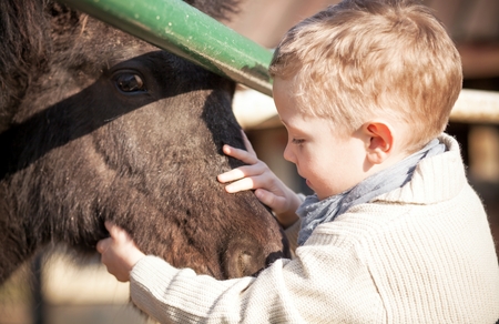 Child with pony in the mini zooの写真素材
