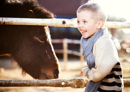 Smiling child with pony in the mini zooの写真素材