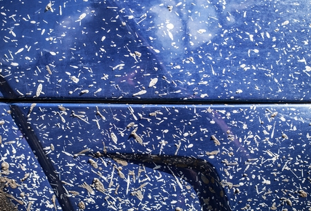 Off-road Car body in mud, texture surface