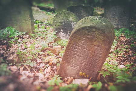 Old abandoned jewish cemetery in forestの写真素材