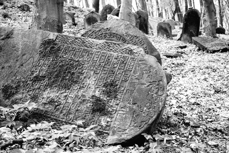 Old abandoned jewish cemetery in forestの写真素材