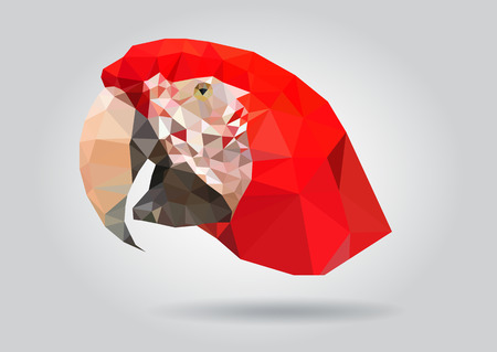 Macaw Parrot head vector isolated, geometric modern illustrationのイラスト素材