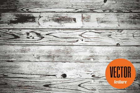 Vector old white wooden planks texture, grunge backgroundのイラスト素材