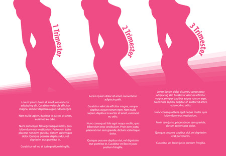 Pregnancy stages trimesters, pregnant woman and changes in body vector infographicのイラスト素材