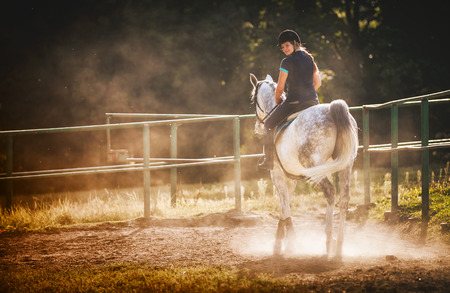 Woman riding a horse in sand dust on paddockの写真素材
