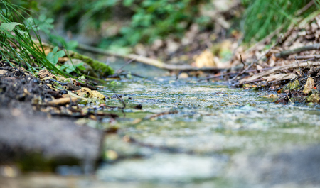 Close up of small river, macro water in natureの写真素材