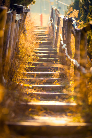 Romantic old stairs in sunset lightの写真素材