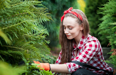 Young gardener girl taking care of ferns in her gardenの写真素材