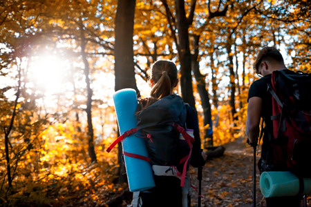 Travelers while trekking with backpacks on forest trailの写真素材
