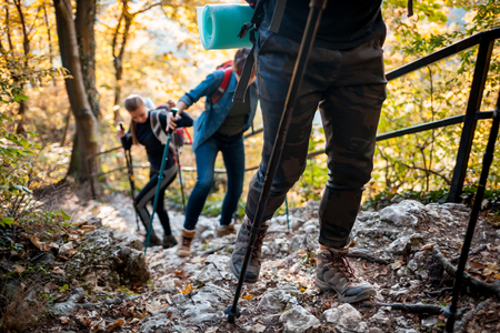 Travelers while trekking with backpacks climbs steep on forest trailの写真素材