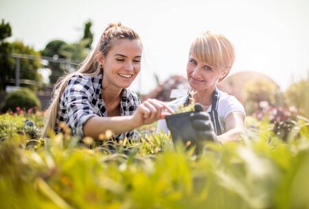 Gardener woman and customer during buying plants in the garden centerの写真素材