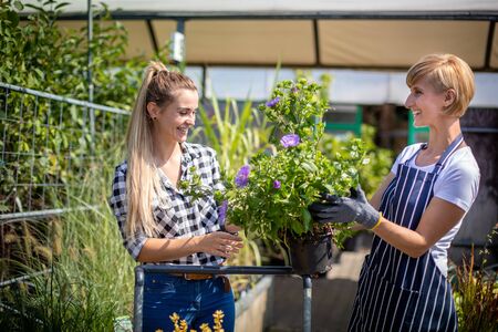 Gardener woman advising female client during buying flowers in the garden centerの写真素材