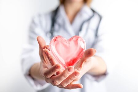 Female cardiologist doctor holding red heart on handsの写真素材