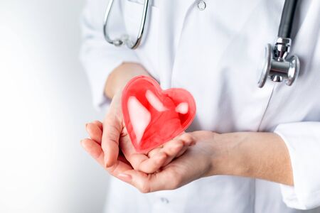 Female cardiologist doctor holding red heart on handsの写真素材