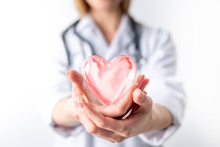 Female cardiologist doctor holding red heart on handsの写真素材