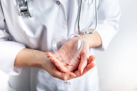 Female cardiologist doctor holding heart symbol on handsの写真素材