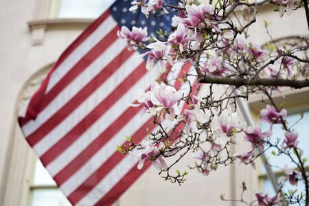 Springtime in Boston