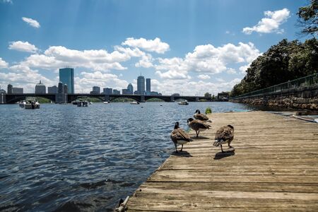A Warm Summer Dayの写真素材