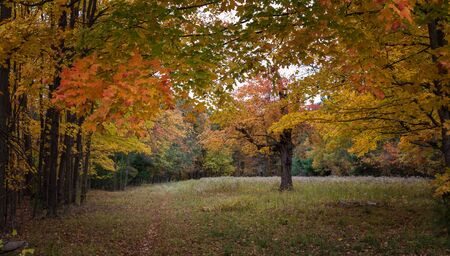 Autumn Landscapes in Massachusetts