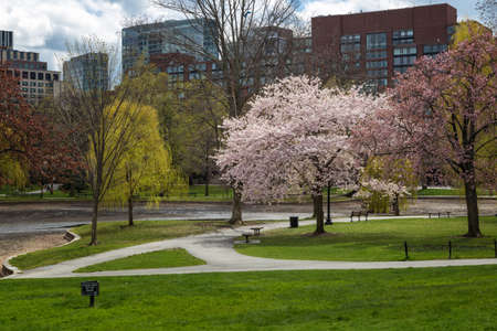 Boston Public Garden