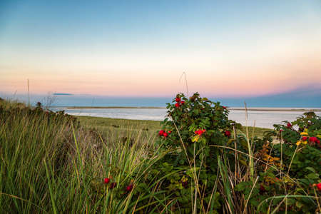 Beautiful Sunset on Cape Cod Beachesの写真素材