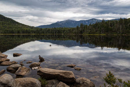 Trail to Lonesome Lake, White Mountans, New Hampshire