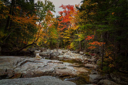 Fall Season in New Hampshireの写真素材
