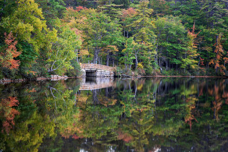 Fall Season in New Hampshire