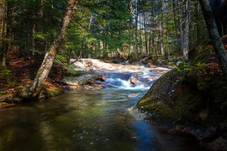 The Foliage in New Hampshire